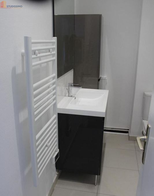 Studio meublé 30m² Saumur - Dernier étage, lumineux - Photo 4