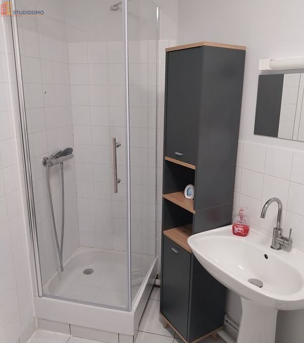 Studio meublé 32m² Sainte-Gemmes-sur-Loire - Meublé, 1er étage - Photo 2