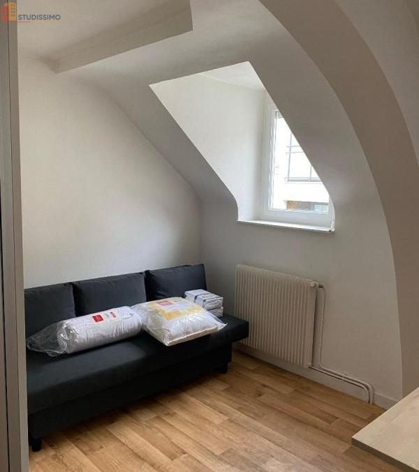Studio meublé 26m² Angers 49100 - Meublé, DPE D - Photo 14