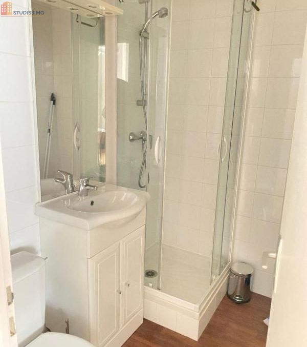 Studio meublé 26m² Angers 49100 - Meublé, DPE D - Photo 4