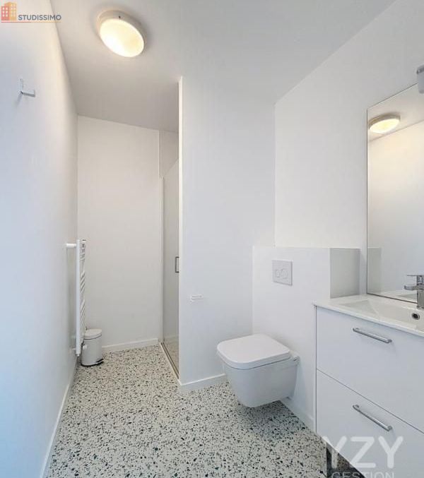 Studio meublé 26m² Les Ponts-de-Cé - Meublé, 1er étage - Photo 49