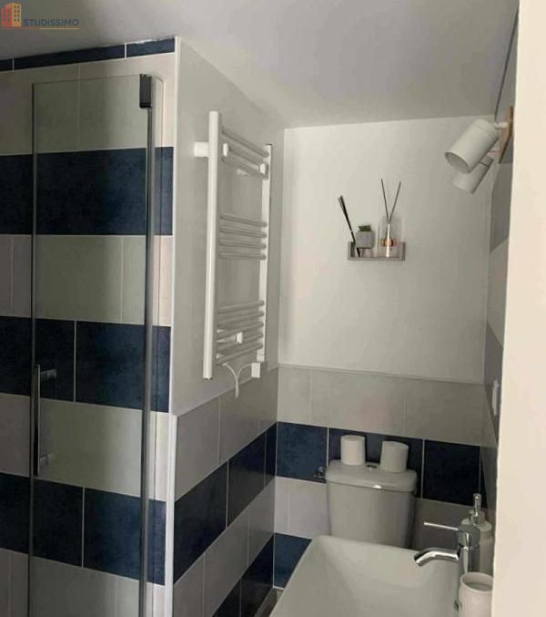 Studio 23m² Saint-Lambert-la-Potherie - Meublé - Photo 9
