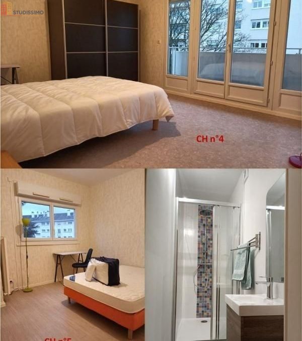Studio meublé 12m² Angers - Meublé, 2e étage - Photo 11
