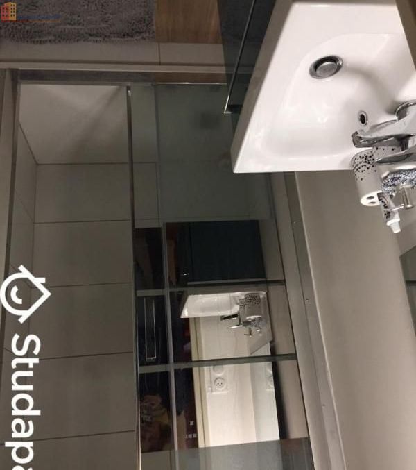 Studio meublé 13m² Angers 49100 - Meublé, DPE D - Photo 5