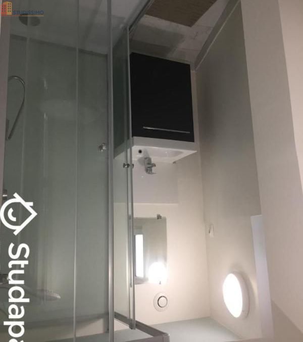 Studio meublé 25m² Angers 49000 - Meublé, DPE D - Photo 1