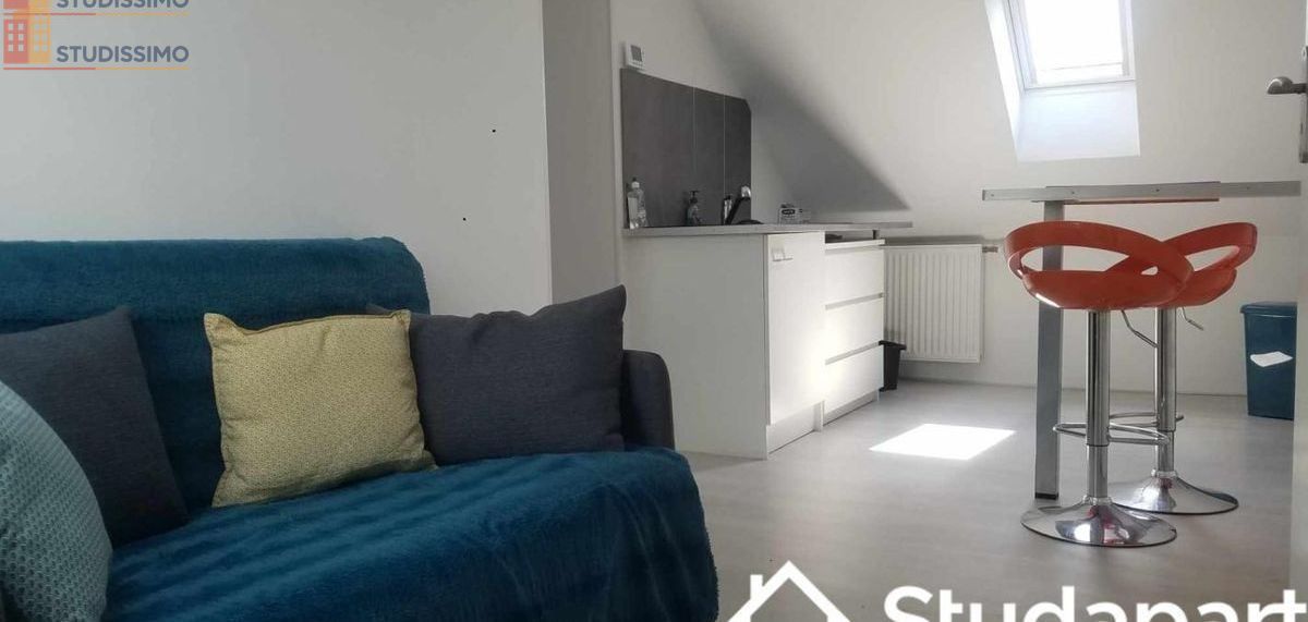 Studio 9m² Saint-Barthélemy-d'Anjou - Meublé, DPE A - Photo 5