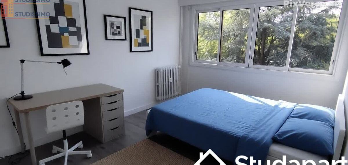 Studio 9m² Angers 49100 - Meublé, rénové - Photo 25