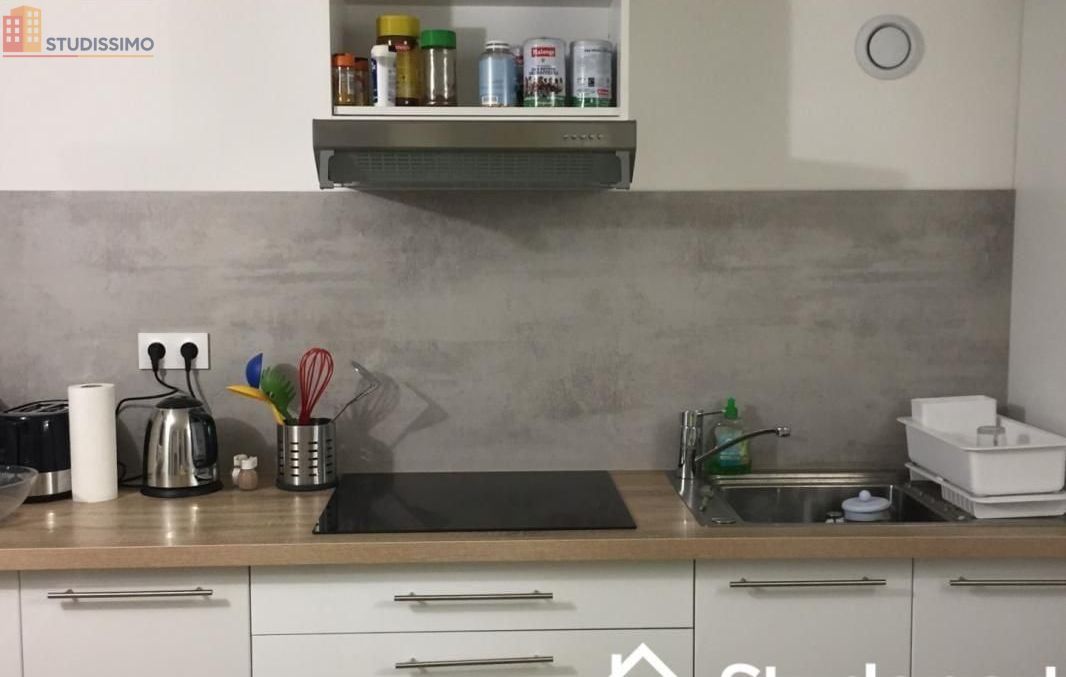 Studio meublé 12m² Angers 49000 - Meublé, lumineux - Photo 44