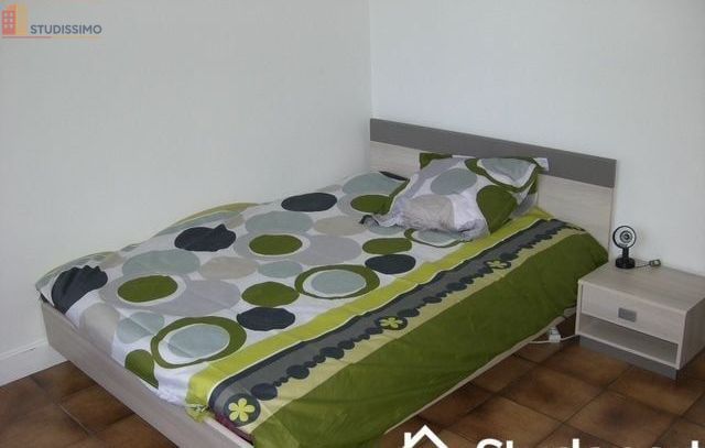 Studio meublé 11m² Angers 49100 - Calme, lumineux - Photo 13