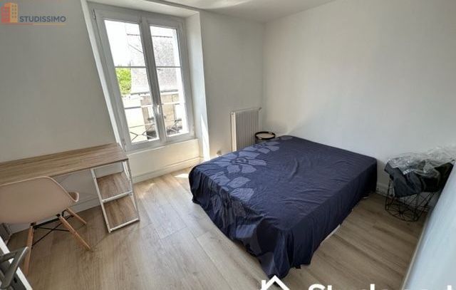 Studio 10m² Angers 49100 - Meublé, DPE D - Photo 6