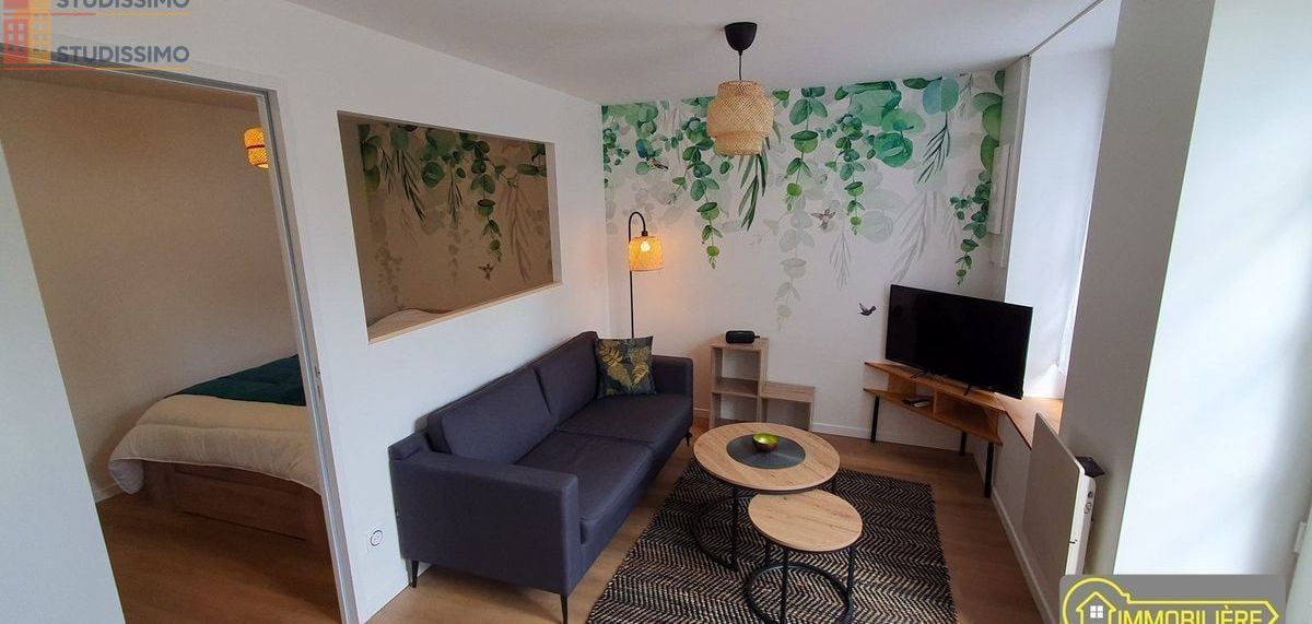 Studio meublé 30m² Saint-Hilaire-du-Harcouët - Meublé, DPE C - Photo 7
