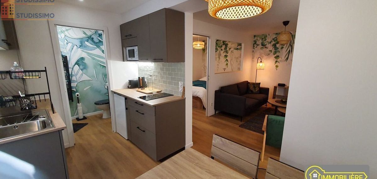 Studio meublé 30m² Saint-Hilaire-du-Harcouët - Meublé, DPE C - Photo 8