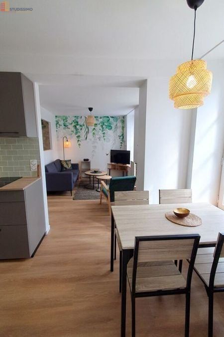Studio meublé 30m² Saint-Hilaire-du-Harcouët - Meublé, DPE C - Photo 5