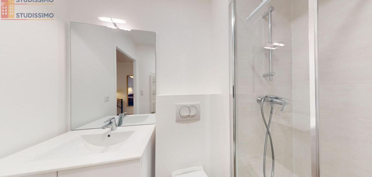 Studio 18m² Angers 49100 - DPE B - Photo 138