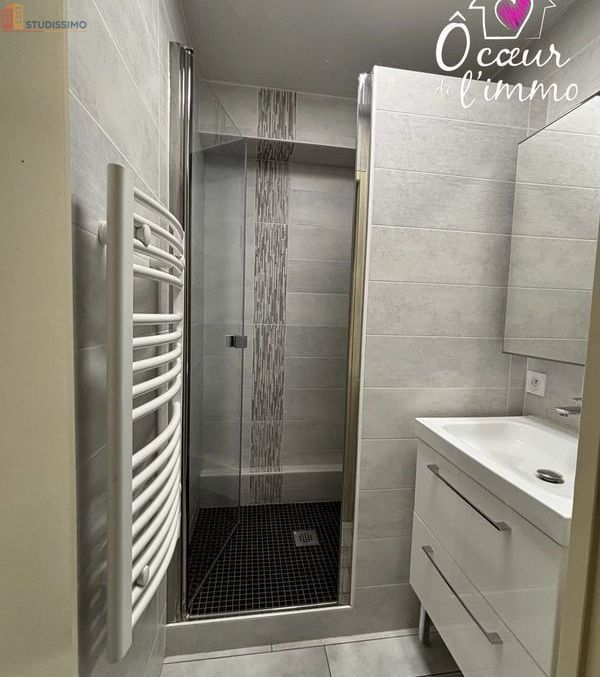 Studio meublé 24m² Cholet - Meublé, DPE C - Photo 10