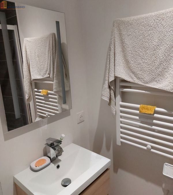 Studio 20m² Angers 49100 - Meublé, DPE D - Photo 11