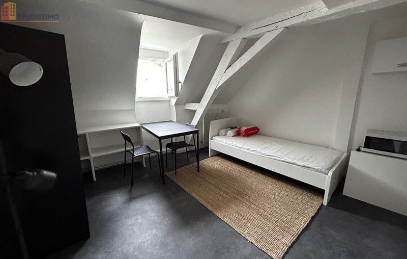 Studio meublé 18m² Segré-en-Anjou Bleu - Hyper centre, meublé - Photo 5
