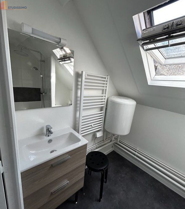 Studio meublé 18m² Segré-en-Anjou Bleu - Hyper centre, meublé - Photo 4
