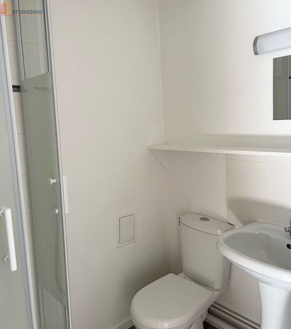 Studio 20m² Saint-Léger-de-Linières - Proche Angers Ralliement - Photo 24