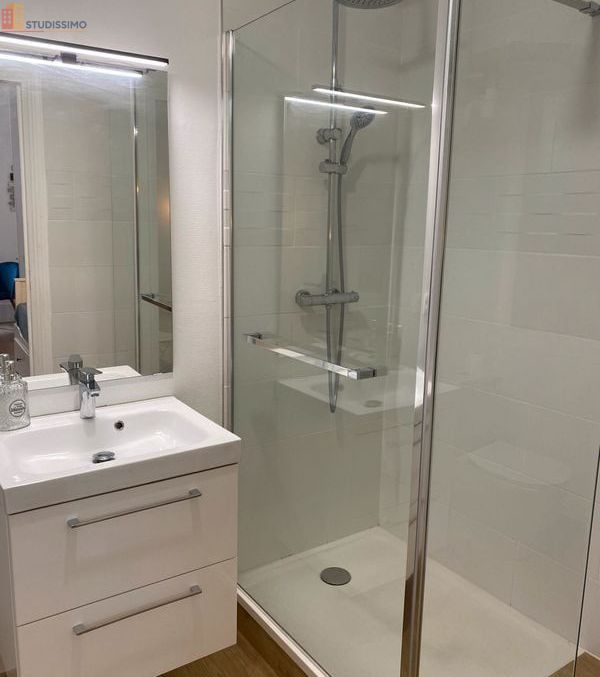 Studio meublé 34m² Angers 49100 - Lumineux, spacieux - Photo 19
