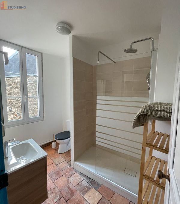 Studio meublé 15m² Angers 49100 - Hyper centre, calme - Photo 10