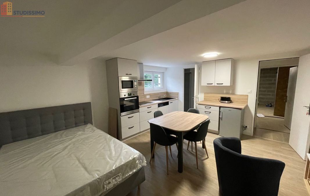 Studio meublé 25m² Segré-en-Anjou-Bleu - Meublé, DPE D - Photo 17