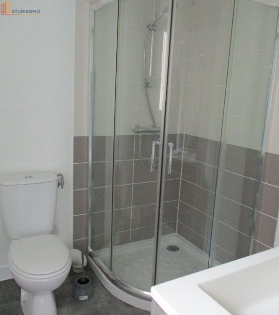Studio 26m² Segré-en-Anjou-Bleu - lumineux - Photo 8