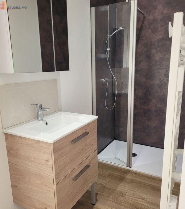 Studio meublé 20m² Les Ponts-de-Cé - Meublé, DPE A - Photo 9