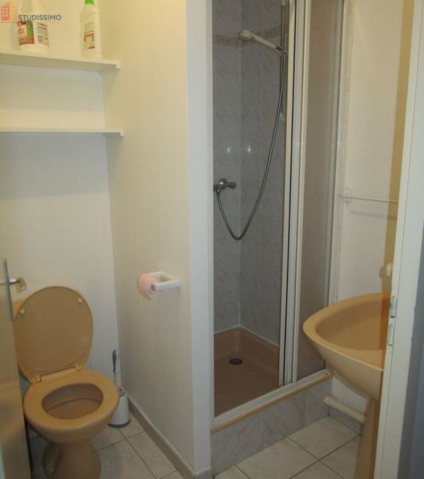 Studio 19m² Angers 49000 - Meublé, disponible été - Photo 7