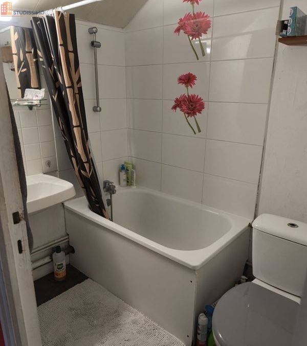 Studio 19m² Angers 49100 - Petite résidence entretenue - Photo 4