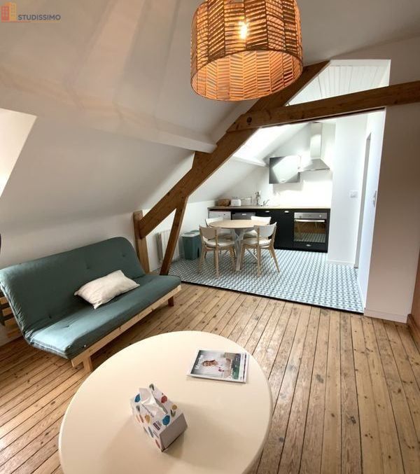 Studio meublé 25m² Donville-les-Bains - Meublé, 1er étage - Photo 3