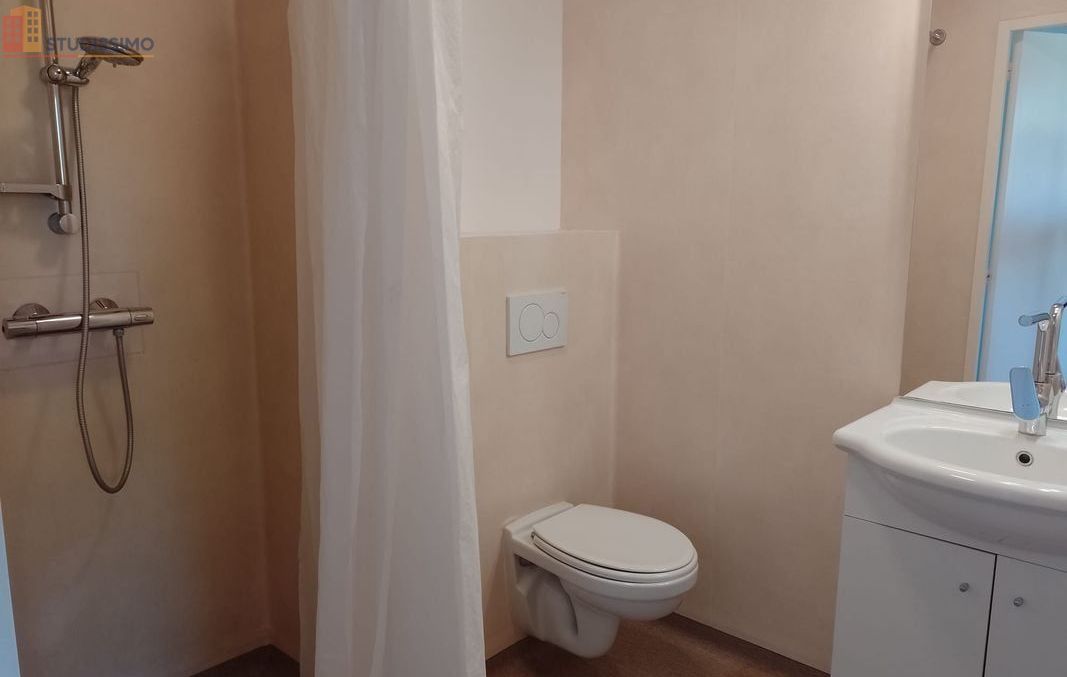 Studio meublé 17m² Chalonnes-sur-Loire - Meublé, DPE B - Photo 13