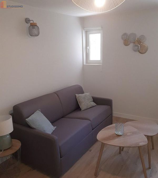 Studio meublé 23m² Angers 49100 - Meublé, 23m² - Photo 10