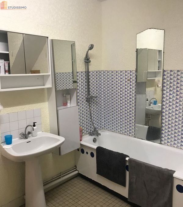 Studio 44m² Angers centre - Meublé, dernier étage - Photo 15