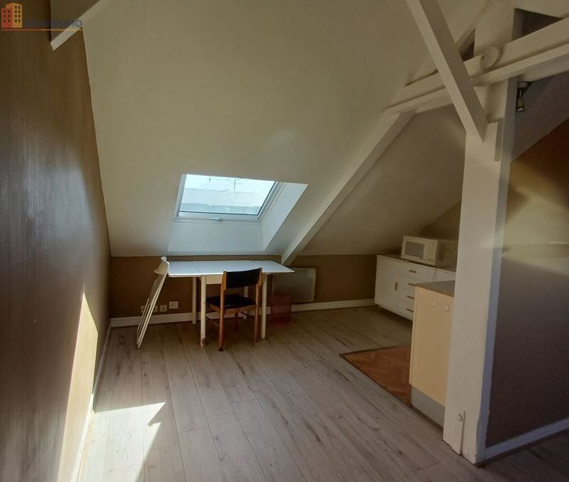 Studio 22m² Angers centre - Hyper centre, dernier étage - Photo 10
