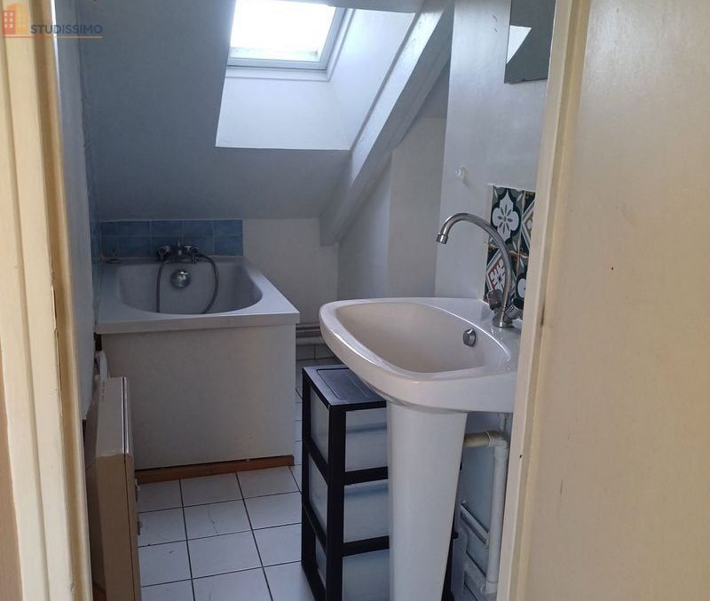 Studio 22m² Angers centre - Hyper centre, dernier étage - Photo 3