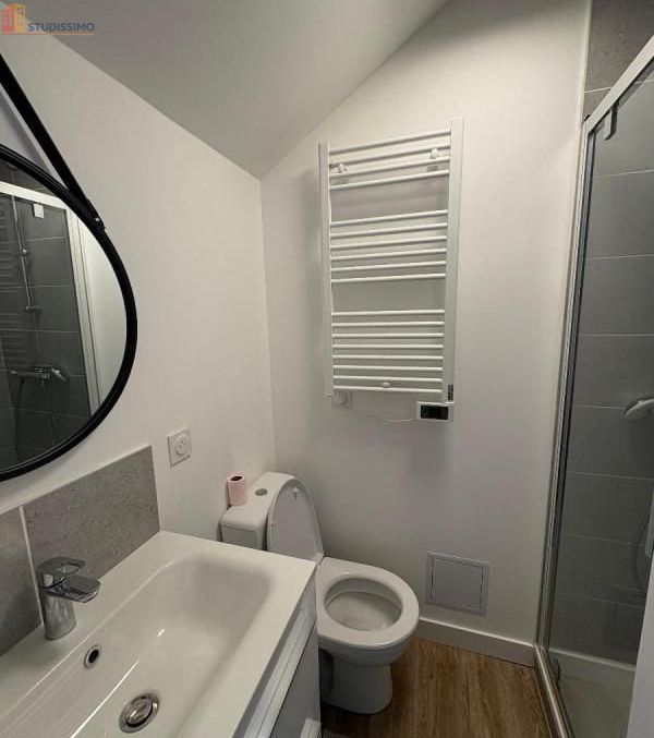 Studio 14m² Angers centre - Étage élevé, DPE D - Photo 48
