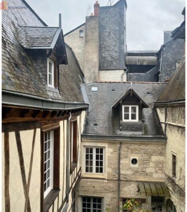 Studio meublé 27m² Angers 49100 - Hyper centre, charmant - Photo 43