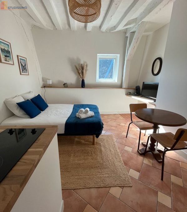Studio meublé 18m² Angers 49100 - Centre-ville, 2e étage - Photo 18
