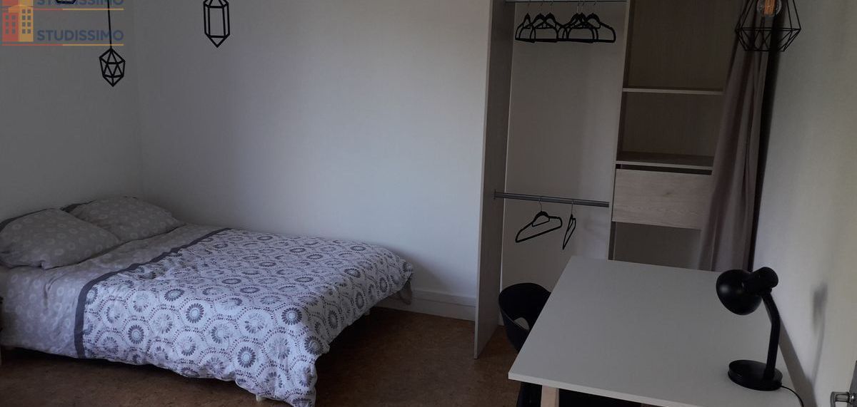 Studio meublé 60m² Angers 49100 - Grande chambre, lumineux - Photo 13
