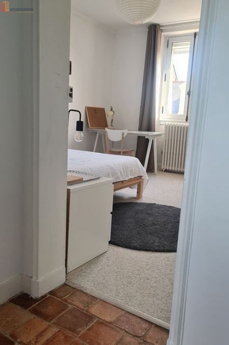 Studio meublé 20m² Angers 49000 - Meublé, DPE C - Photo 11