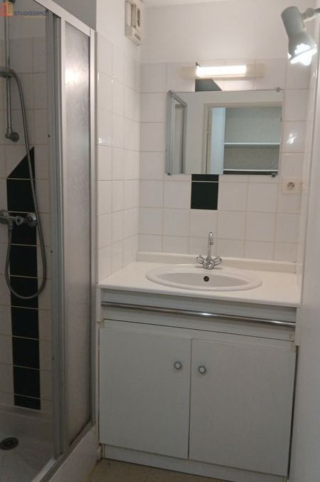 Studio meublé 20m² Angers 49000 - Meublé, lumineux - Photo 4