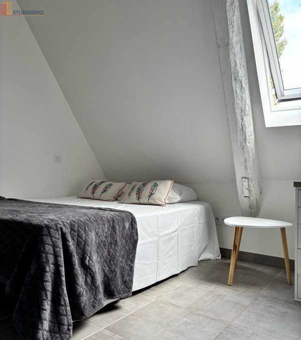 Studio meublé 25m² Angers - Proche Lac de Maine - Photo 1