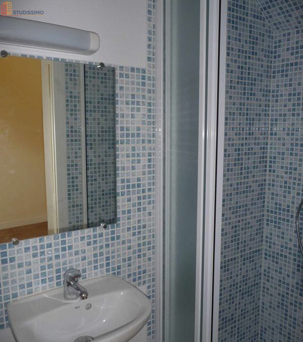 Studio 19m² Angers 49100 - Rénové, lumineux - Photo 4