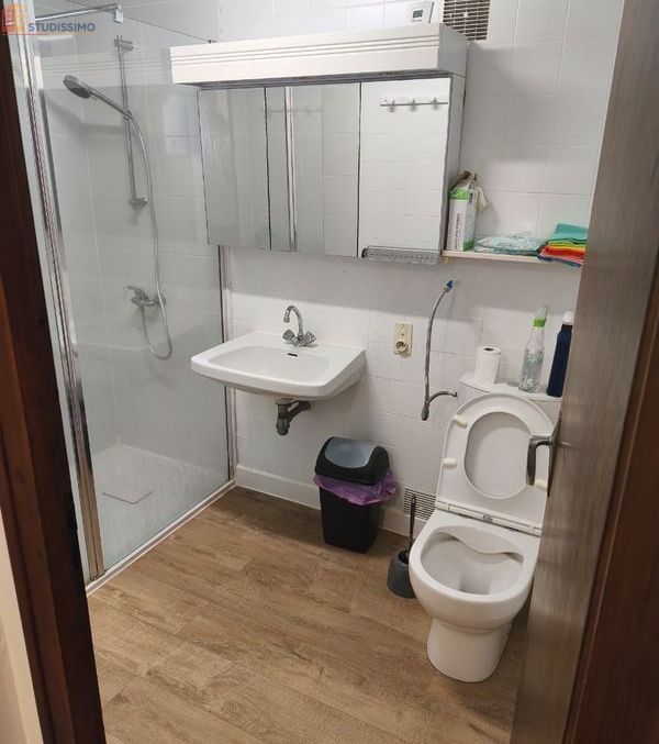 Studio 20m² Saint-Christophe-du-Bois - Meublé, DPE D - Photo 10