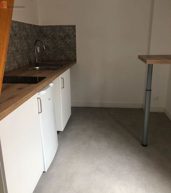 Studio 20m² Angers 49100 - Atypique, proche centre-ville - Photo 14