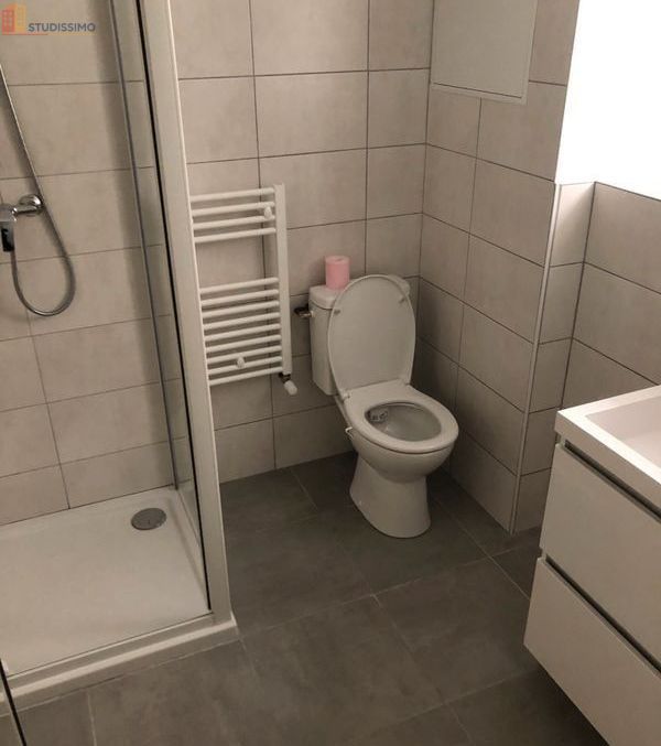 Studio 20m² Angers 49100 - Atypique, proche centre-ville - Photo 12