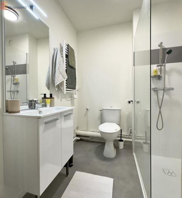 Studio meublé 33m² Reims 51100 - Meublé, DPE C - Photo 6