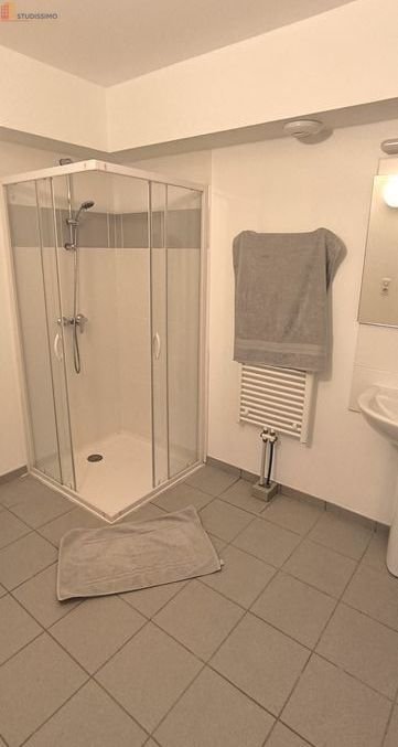 Studio meublé 29m² Reims - Meublé, charges comprises - Photo 6