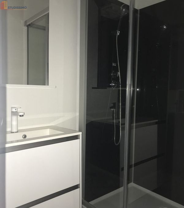 Studio meublé 30m² Reims 51100 - Meublé, DPE D - Photo 1